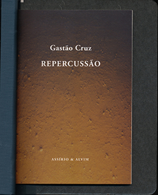 Cruz, Gastao - Repercussao