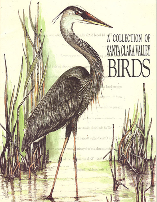 Bauer, Suzanne - A Collection of Santa Clara Valley Birds