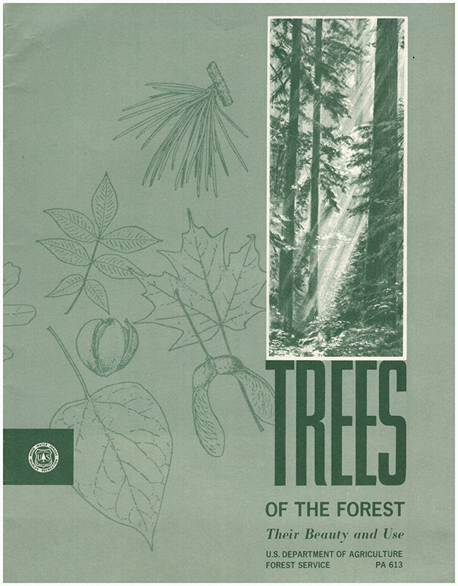 US Department of Agriculture Forest Service - Trees of the Forest: Their Beauty and Use (Pa 613)
