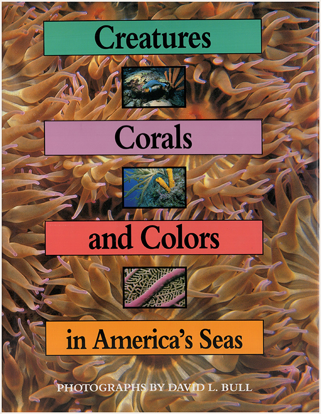 Scarborough-Bull, Ann - Creatures, Corals, and Colors in America's Seas