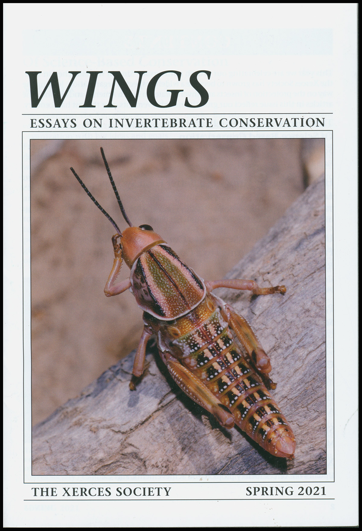 Black, Scott - Wings: Essays on Invertebrate Conservation: Fifty Years of Conservation (Spring 2021)